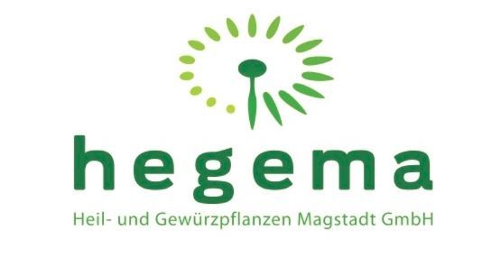 Hegema