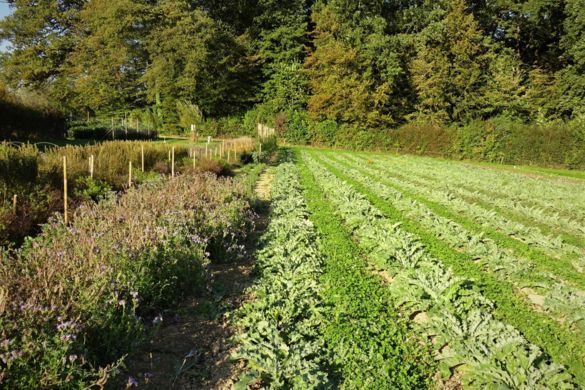 Menschen im HORTUS-Netzwerk_Teil I.jpg