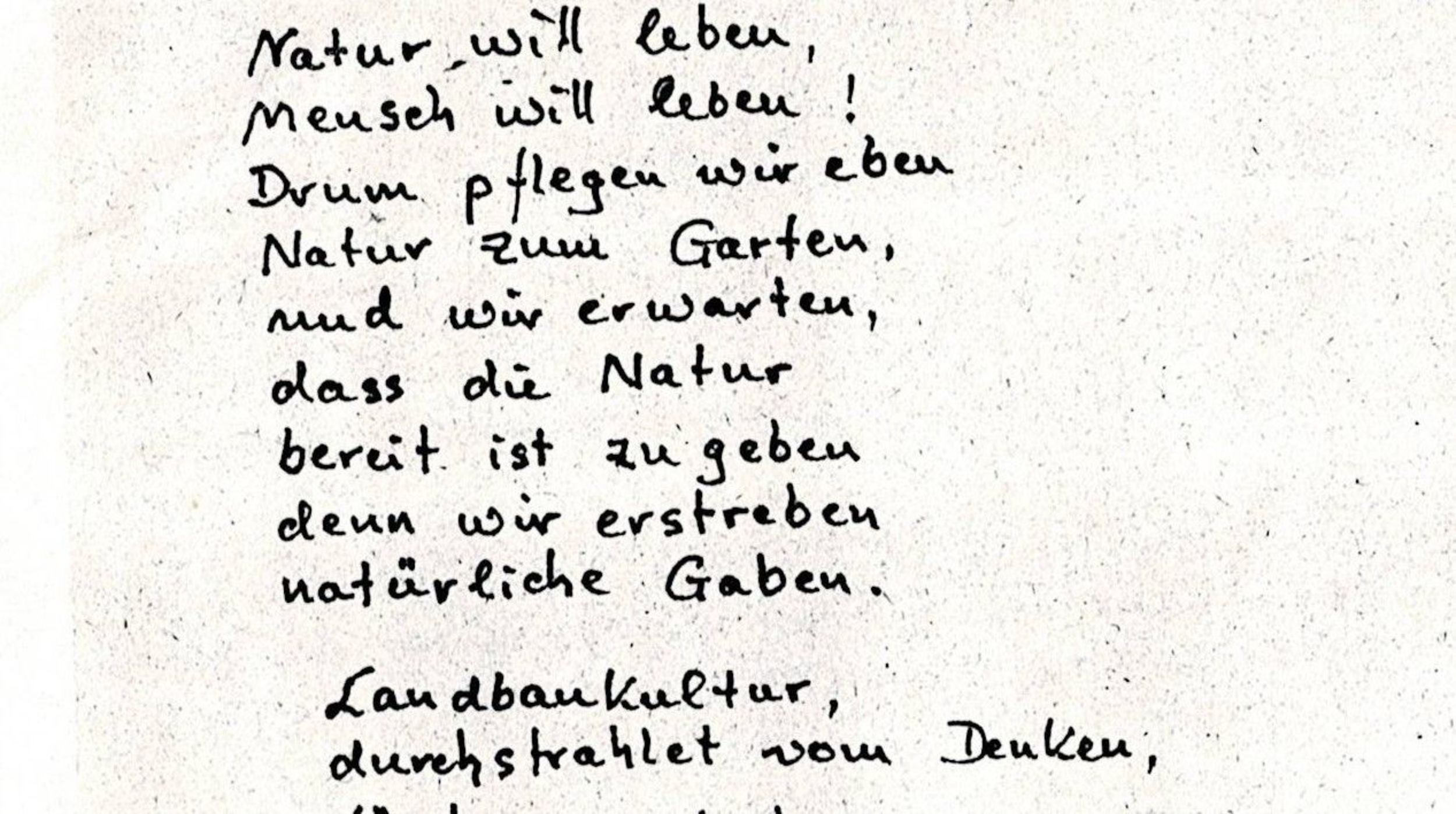 Handschrift_IlmarRanduja.JPG