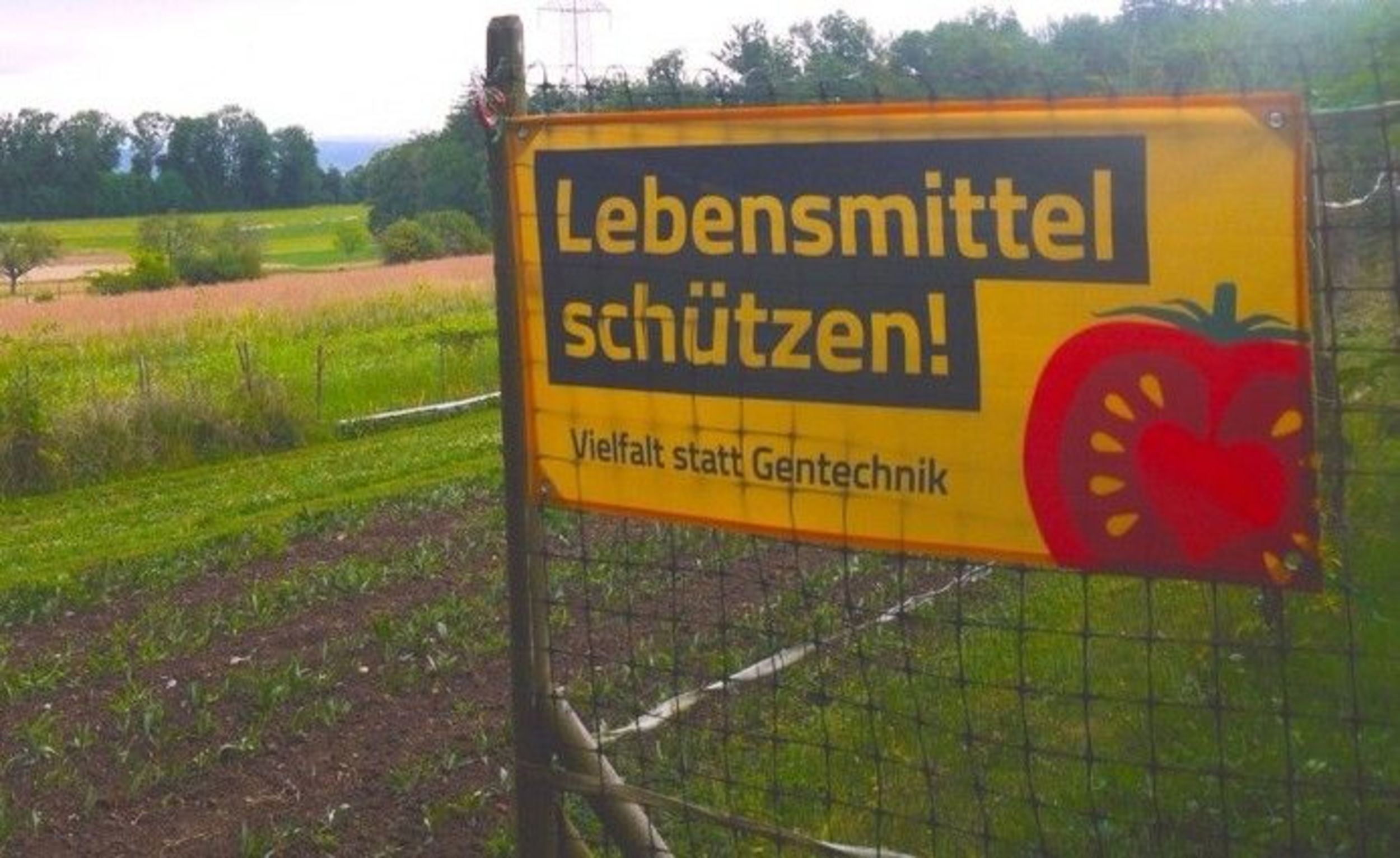 Gentechnik.jpg