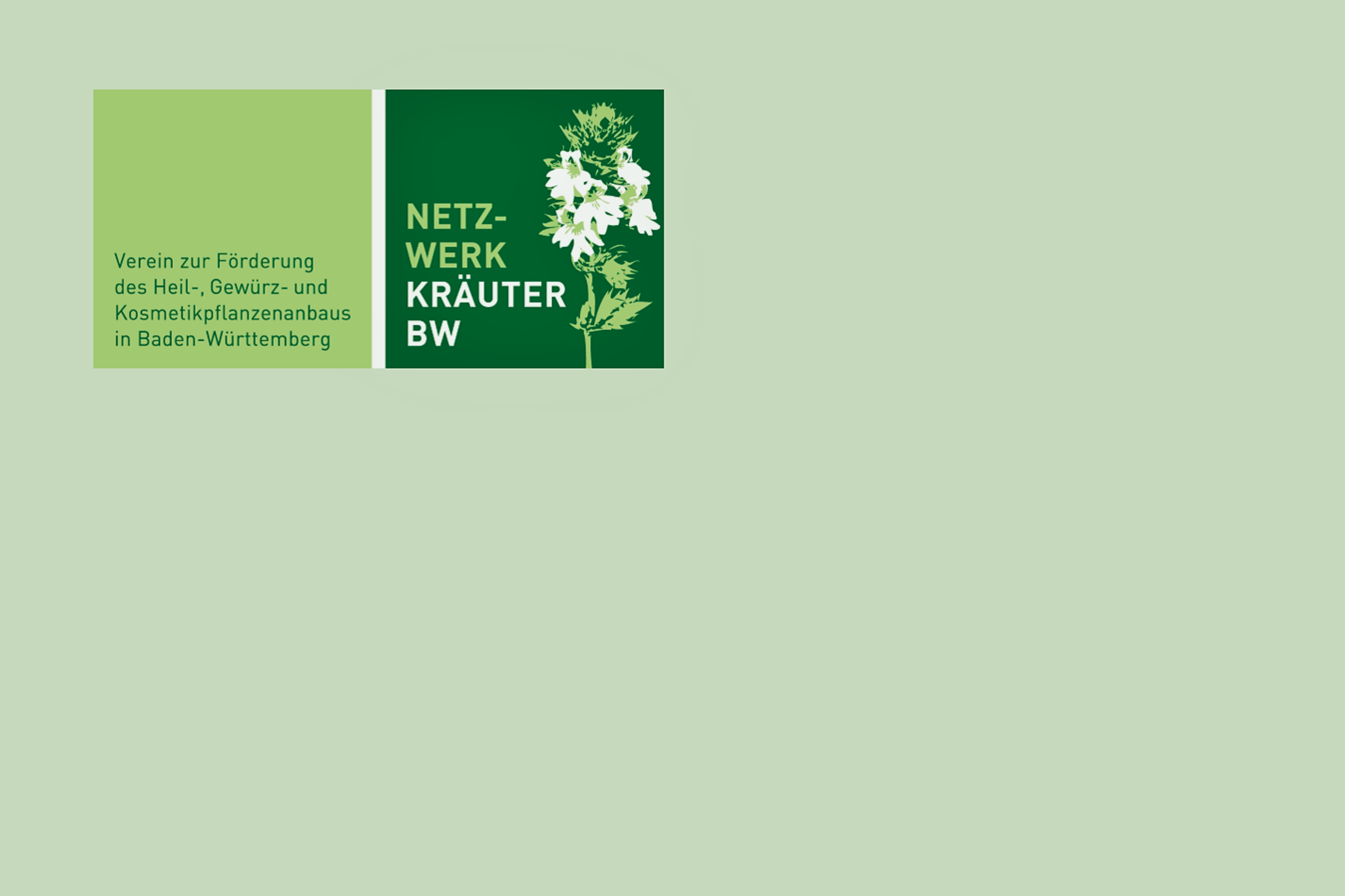 Netzwerk Kräuter.png